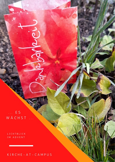 2025 LichtblickAdventDankbarkeit